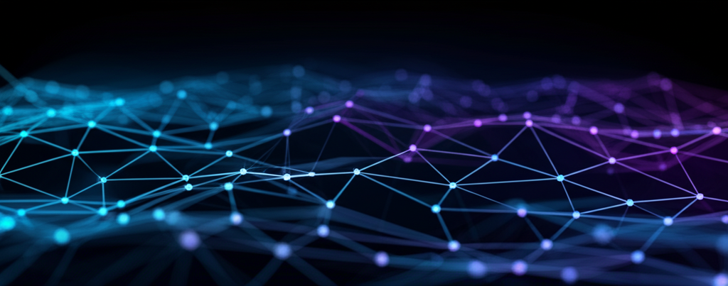 Digital Services Network